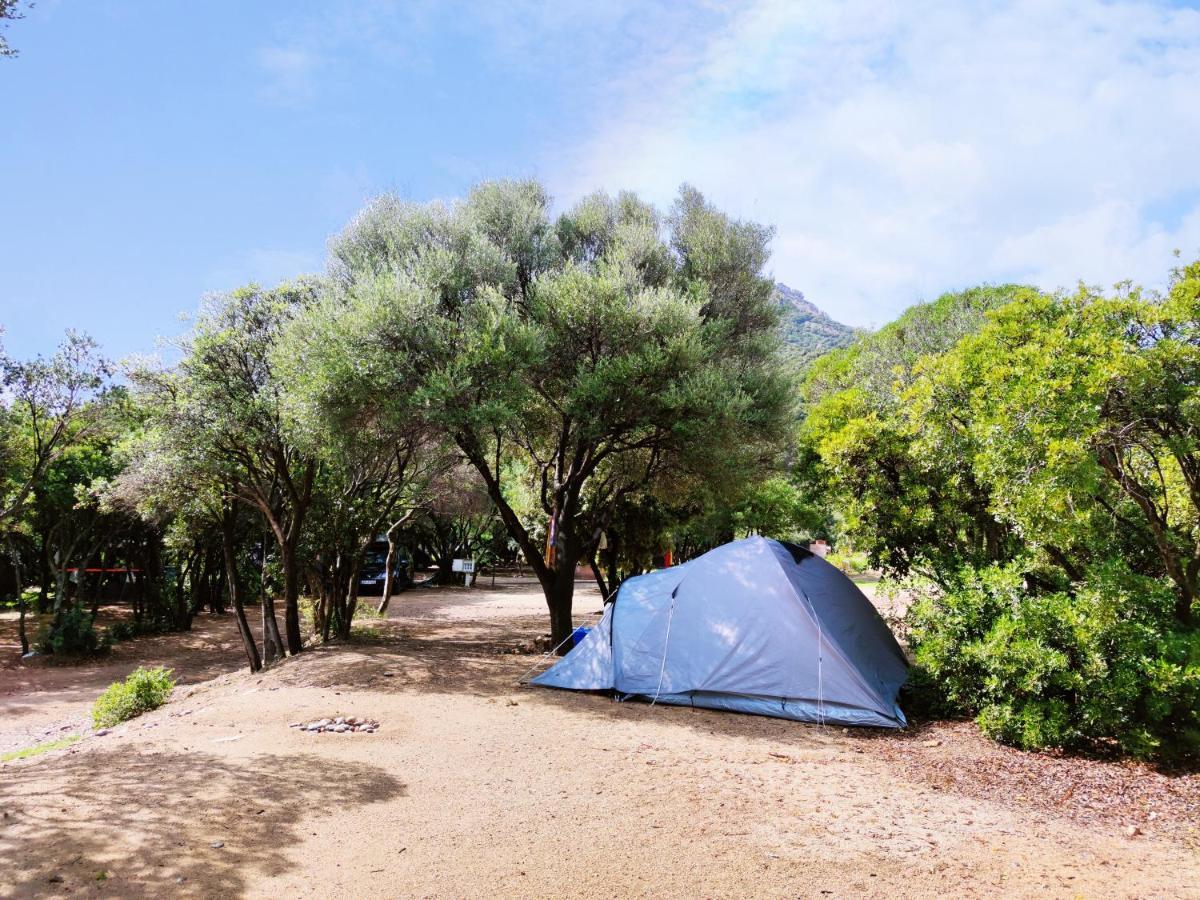 New Camping Coccorrocci 마리나 디 가이로 외부 사진